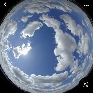 Meet your Posher, Celia